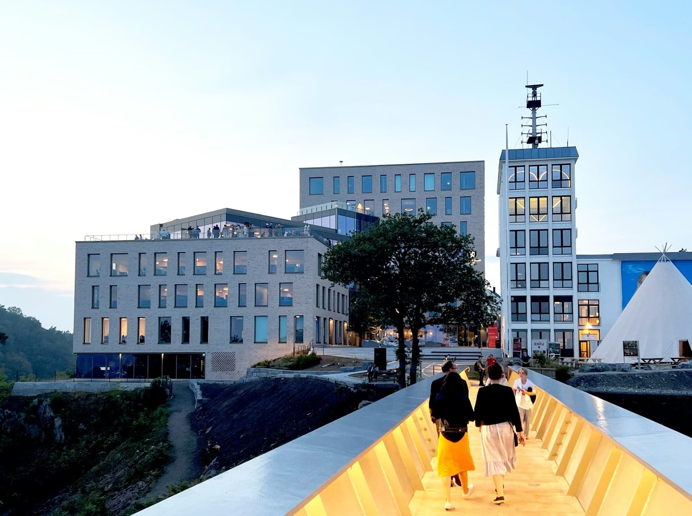 Statsforvalteren i Agder